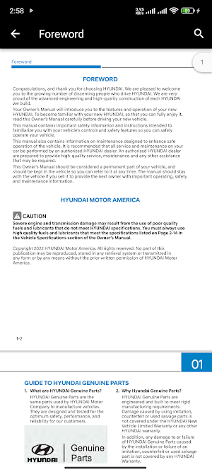 Hyundai Santa Fe User Manual Screenshot 2