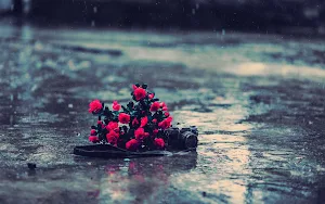 Rain Wallpapers Screenshot 2