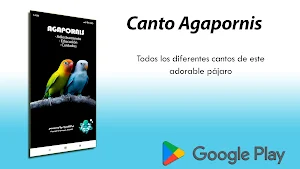 Canto Agapornis Screenshot 0