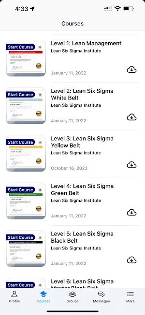 LSSI Online Screenshot 3