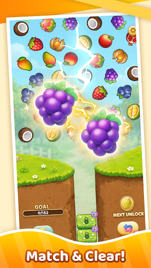 Fruit Drop Puzzle Screenshot 0