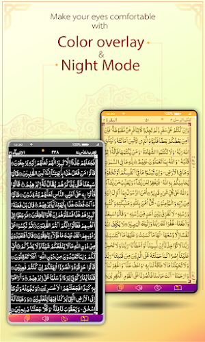 Koran Majeed: Hafizi Al Quran Screenshot 3