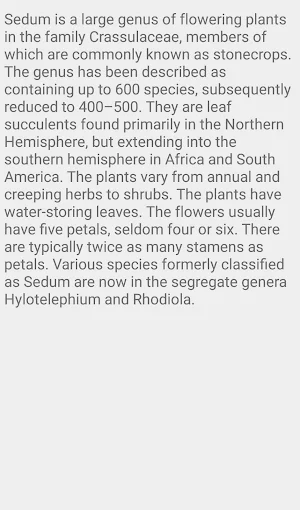 Sedum Flower plants Screenshot 1