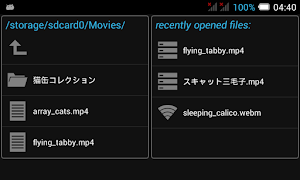 Steaming Player Screenshot 1