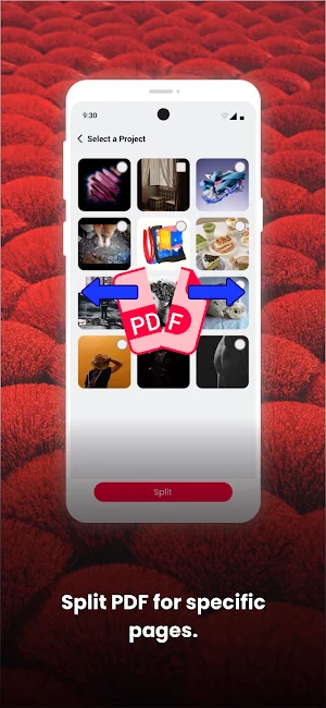 ScanLook PDF Screenshot 2