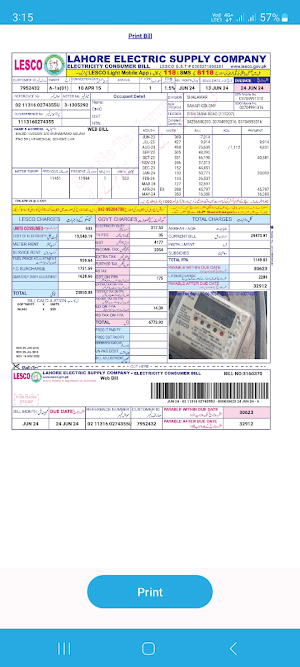 LESCO Bill At OneClick Screenshot 3