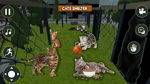 Animal Shelter 3D Rescue Game Screenshot 1