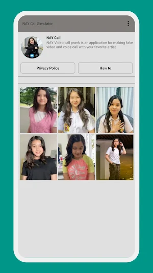 NAY video Call Simulator Screenshot 0
