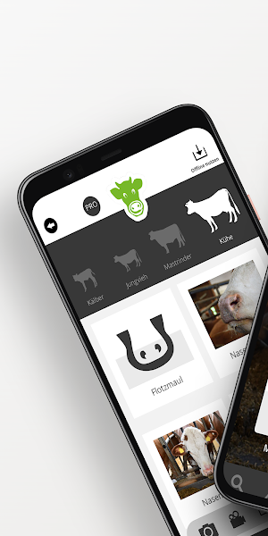 FitForCows Screenshot 0