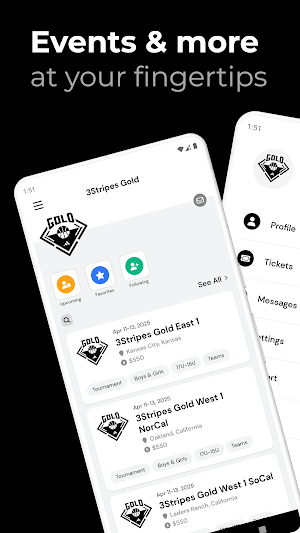 3Stripes Gold Screenshot 0
