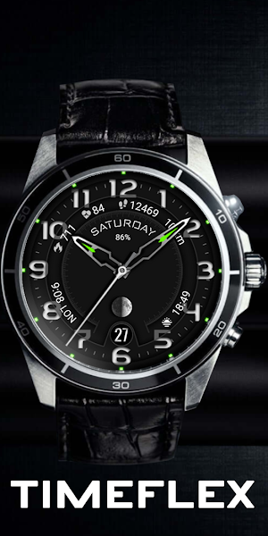 Timeflex Screenshot 2