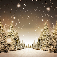 Snow Stars HD Themes