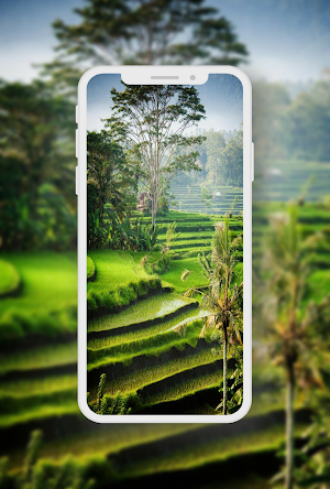 Green Wallpaper Screenshot 3