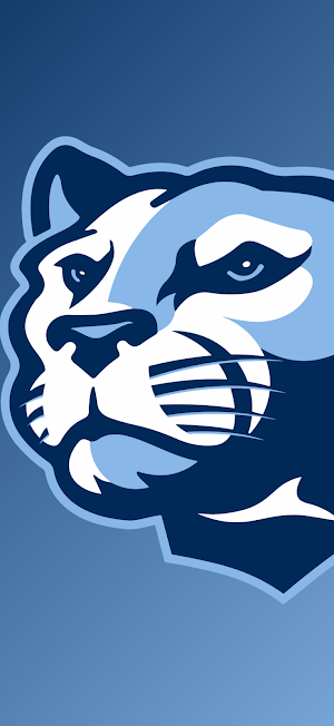 Logan County Athletics Screenshot 0