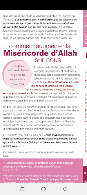 Broch: La miséricorde d'Allah Screenshot 3