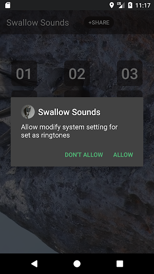 Swallow Sounds & Ringtones Screenshot 2