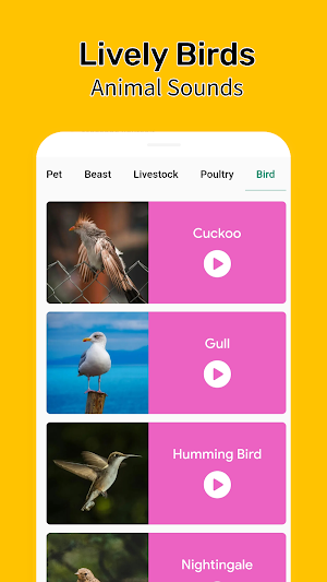 Animal Sounds - Enjoy Sounds Screenshot 3