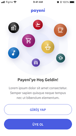 Payeni Screenshot 0