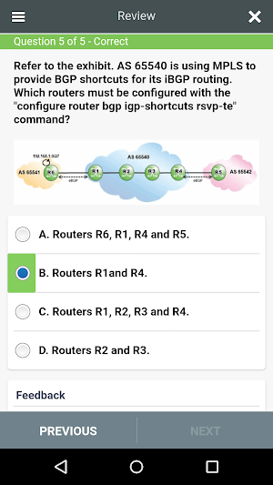 4A0-102 Practice Exam - Border Gateway Protocol Screenshot 3
