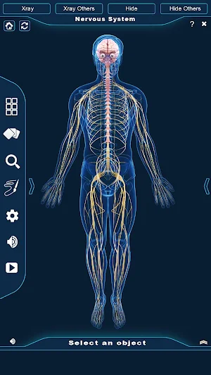 Nervous System Anatomy Pro. Screenshot 0