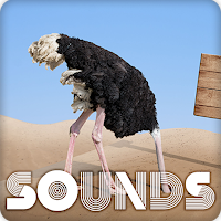 Ostrich Sound Ringtones
