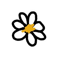 Two Daisies