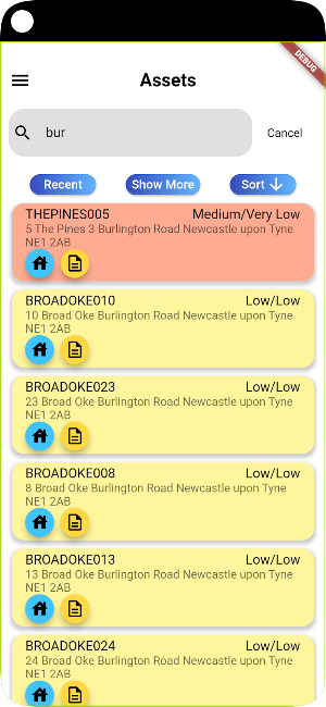 Assets Mobile Screenshot 2