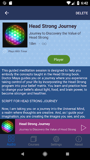 Bliss Mechanics Academy Screenshot 3