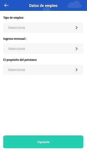 Flexible Consumer Loan Screenshot 2