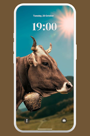 Cute Cow Wallpaper 4K Screenshot 3