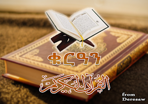Holy Quran in Amharic and Arabic Screenshot 0