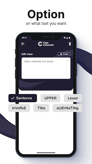 Case Convertor Screenshot 2