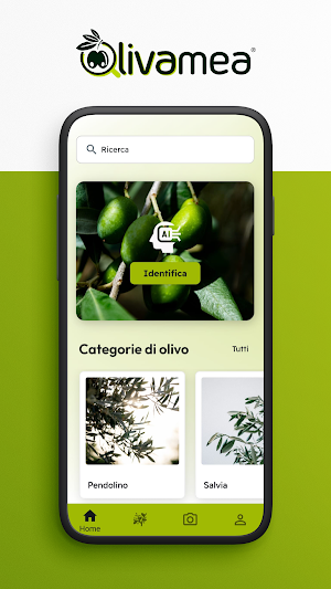 olivamea Screenshot 0
