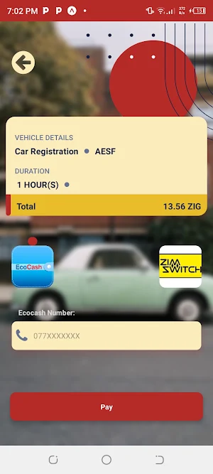 Park Assist Screenshot 2