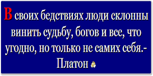 Цитата дня  - Russian Quotes Screenshot 1