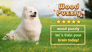 Wood Puzzle Mania - Block Puzzle Game Screenshot 0