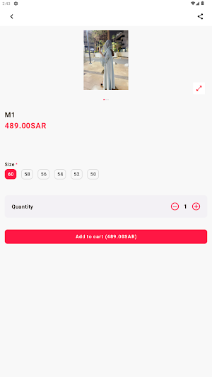 Aseliah Abaya Screenshot 1