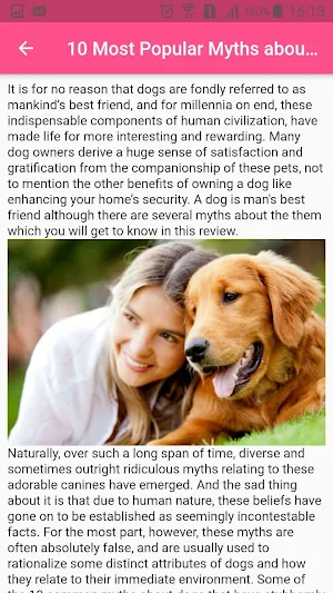 Dogs Screenshot 1