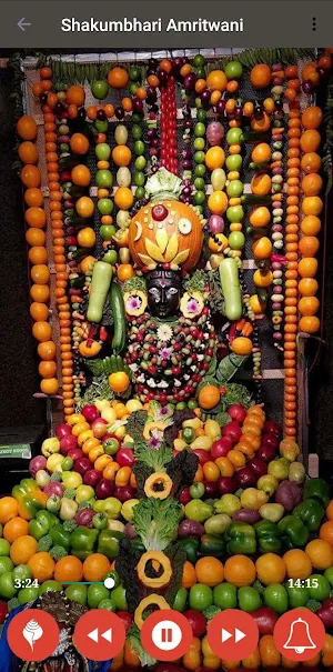 Shakumbhari Maa Amritwani Screenshot 2