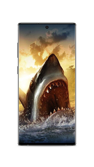 Shark Wallpaper Screenshot 1