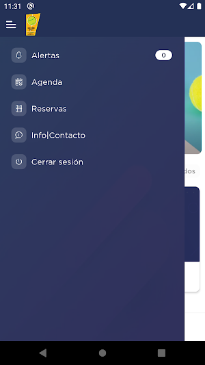 Club De Tenis Quillota Screenshot 1