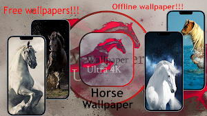 Horse Wallpaper Screenshot 0