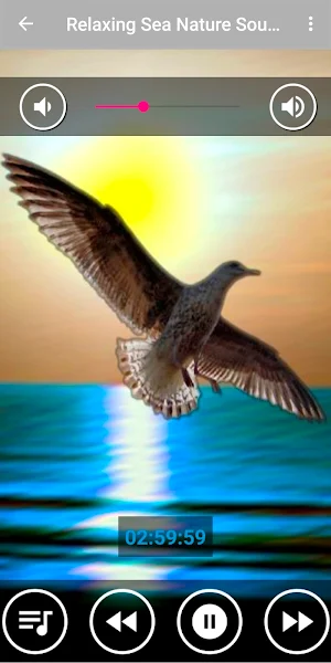 Calming Sea Sounds - Ocean Sounds Screenshot 3