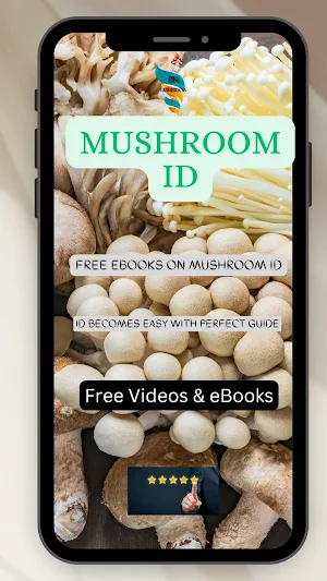 BM MUSHROOM Screenshot 3