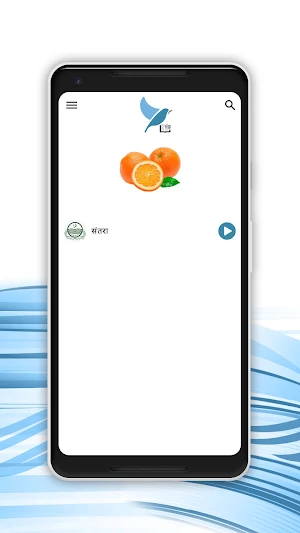 Hindi - Saraiki Dictionary Screenshot 1