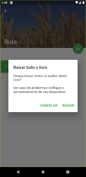 Bíblia Falada Screenshot 3