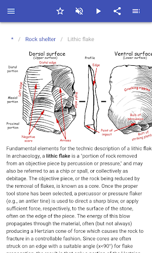 Archaeological terminology Screenshot 2