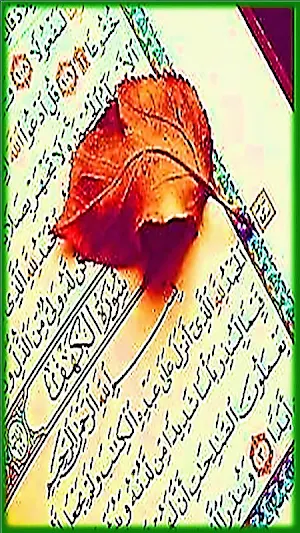 سورة الكهف قراءة واستماع Screenshot 3
