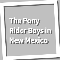 Book, The Pony Rider Boys in N