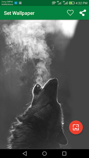 10000 WildLife Wallpapers Screenshot 3